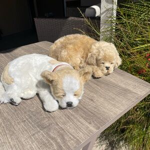 Vintage Perfect Petzzz Sleeping Puppy - Set of 2 Golden Retriever & Chihuahua